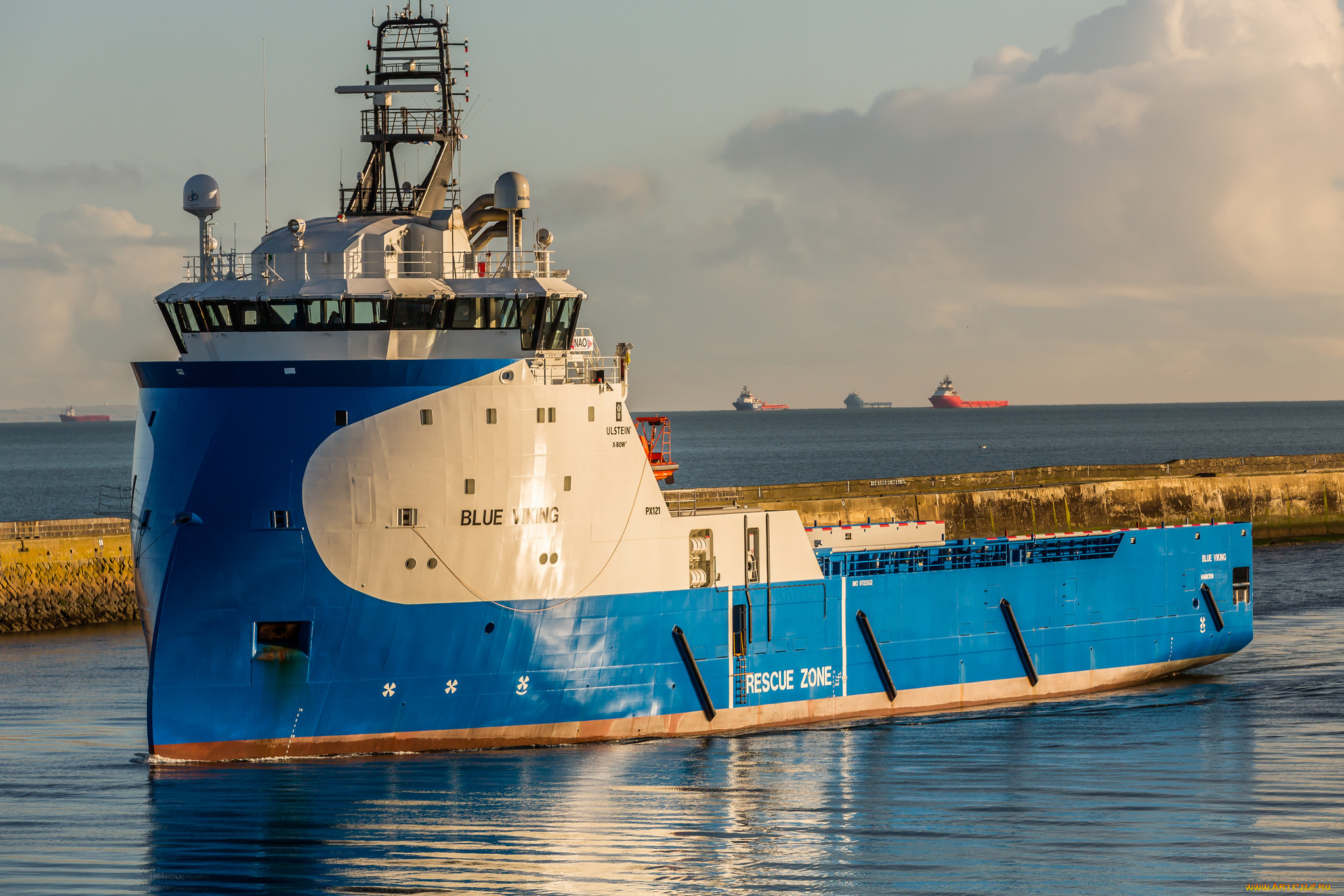 blue viking, , , , , 